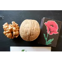 Орех грецкий "Яцек" семена (10 шт) для выращивания саженцев горіх насіння на саджанці + инструкция + подарок