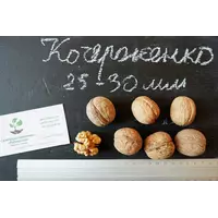 Семена грецкий орех сорт "Кочерженко"(10 штук калибр 25-30 мм) саженцы, насіння волоський горіх на саджанці